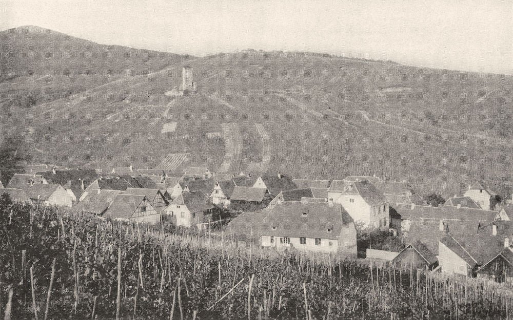 ALSACE. Vignoble Alsacien 1900 old antique vintage print picture